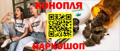 сатива Краснодар