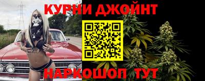 сатива Краснодар