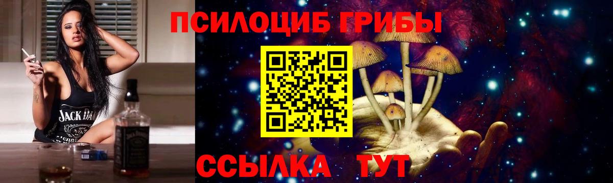 Ейск  Галлюциногенные грибы прущие грибы  Вход с VPN 