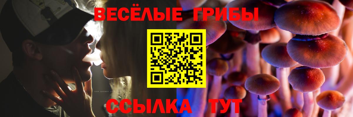 Галлюциногенные грибы Psilocybine cubensis Ейск